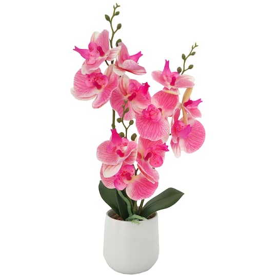 16" Dark Pink & White Orchid in Ceramic Pot by Ashland®
